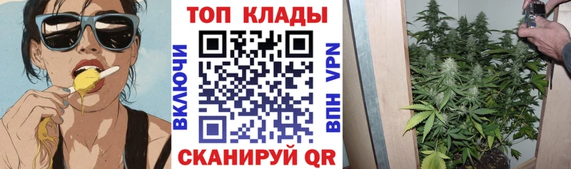 Магазин наркотиков Жиздра Псилоцибиновые грибы  МЕФ  ГАШИШ  А ПВП 