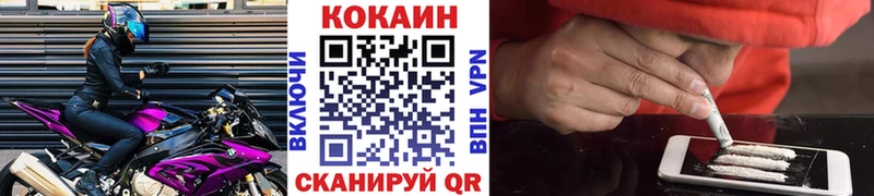 Cocaine Fish Scale Жиздра