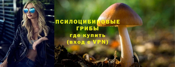 PSILOCYBIN Алексин