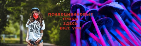 PSILOCYBIN Алексин