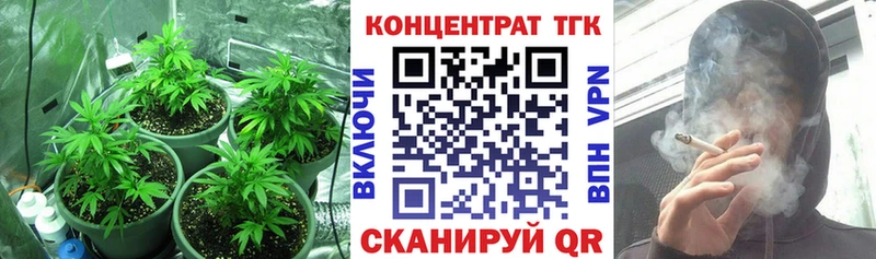 закладка Жиздра Дистиллят ТГК Wax